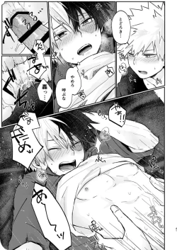 Page 39 of 透明バイパス