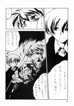 Page 7 of Nightly Festival