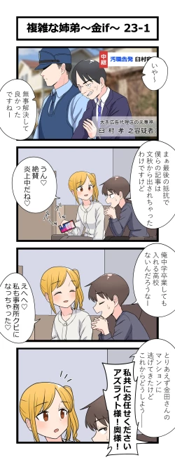 Page 27 of 複雑な姉弟～金if～