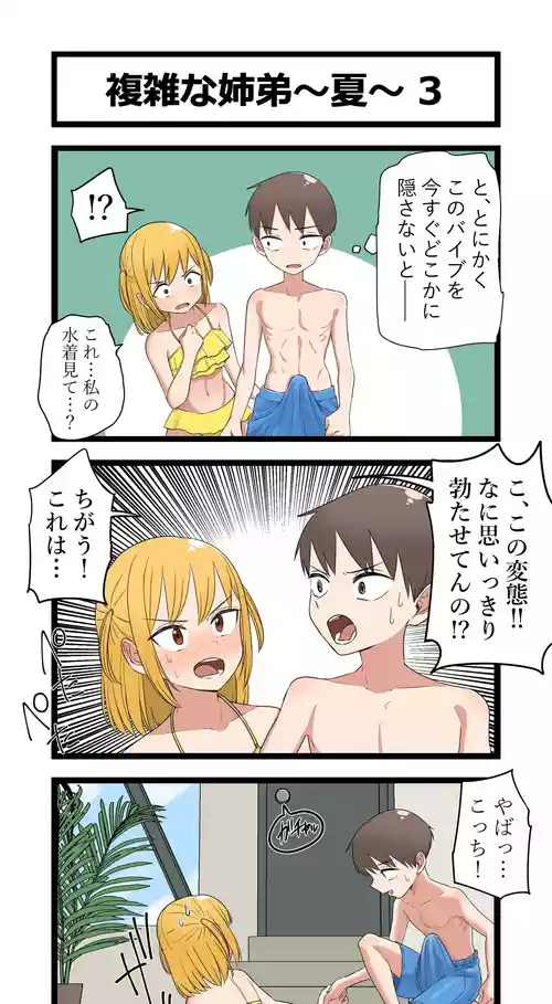 Download 複雑な姉弟～夏～