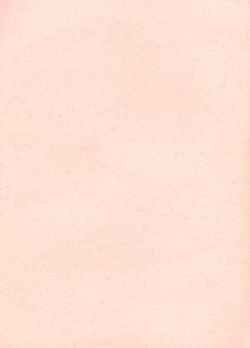 Page 2 of The Story of the Conquest of the Country - Part 1