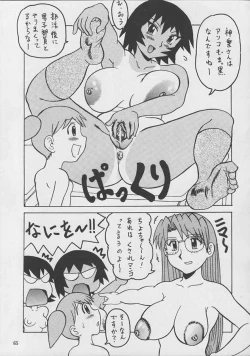 Page 64 of Hanjuuryoku 5