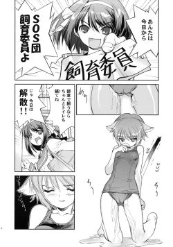 Page 20 of Alterna SP