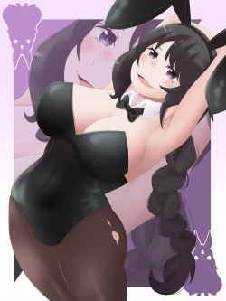 Page 18 of Re:Zero Bunny Girl Collection