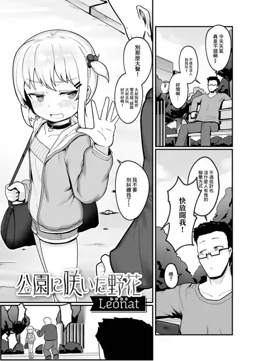 Download 公園に咲いた野花