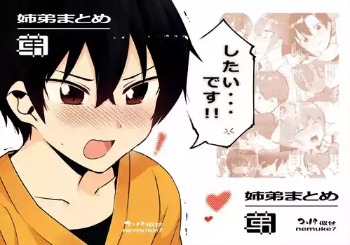 Download 「姉弟まとめ：弟」プレビュー版！