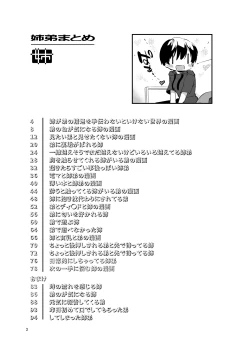 Page 2 of 姉弟まとめ：姉