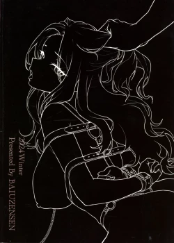 Page 2 of The Role of the Student Council President