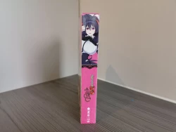 Page 3 of Highschool DxD Hero BD booklet scans