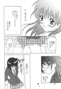 Page 173 of Shoujo Fuukei