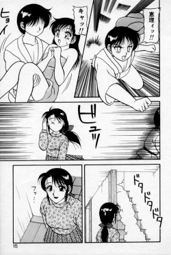 Page 14 of Super Family Complex 2