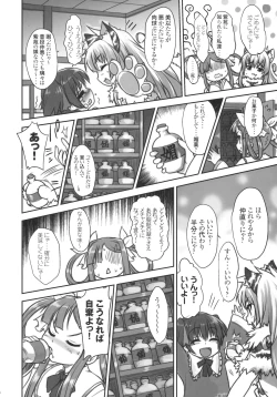 Page 19 of Hounyuuden