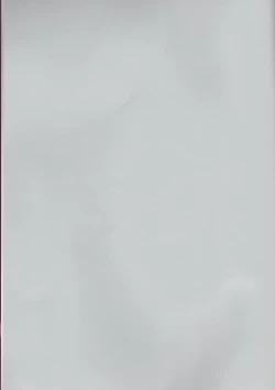 Page 2 of Toaru Souchou no Jouji