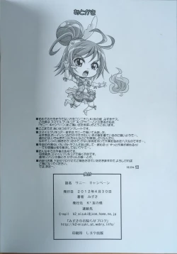 Page 21 of 12/04/30サニー キャンペーン