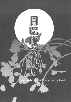 Page 13 of samoye dest pepepepe pepe DQ2 Soushuuhen