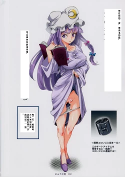 Page 13 of Totsuzen Gekiiki Patchouli-sama