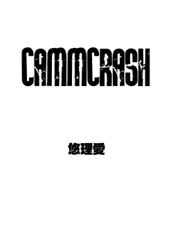 Page 2 of CAMMCRASH