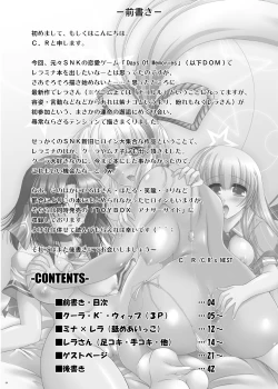 Page 4 of DOM TOYBOX