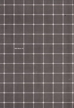 Page 2 of Floral Talk