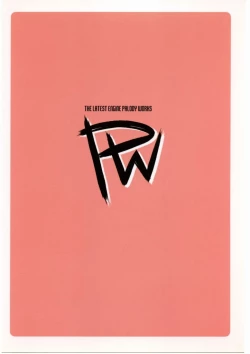 Page 16 of PW TLE-PW05