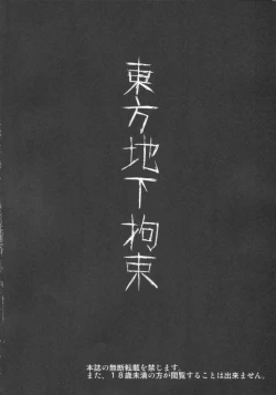 Page 3 of Touhou Chika Kousoku