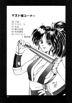 Page 34 of F-25 Samurai