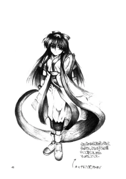 Page 44 of F-25 Samurai