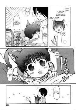 Page 19 of Dakimakura Mokochan