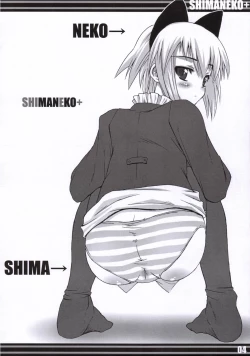 Page 3 of ShimaNeko+