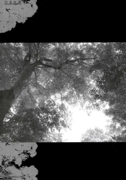 Page 16 of Genkai Shojo