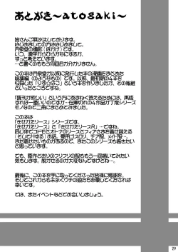 Page 29 of Kisekae Wreath F.R