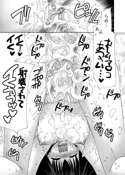 Page 17 of TOUHOU REC.