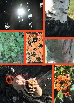 Page 24 of TOUHOU REC.