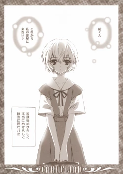 Page 4 of Ikari-kun to Pokapoka Shitai......