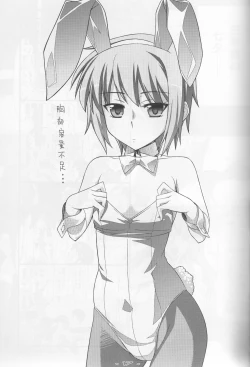 Page 17 of Haruhigenia