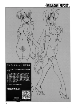 Page 28 of HARLAOWN REPORT