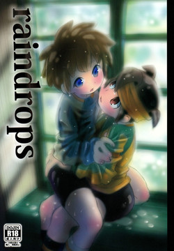 Download Raindrops