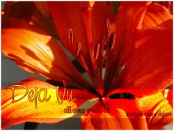 Page 22 of Close to You