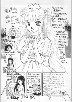 Page 33 of Chousen Ame Ver.18 Princess