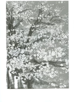 Page 29 of Kasumi Love 3