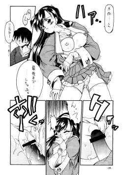 Page 19 of Sincron Maximum