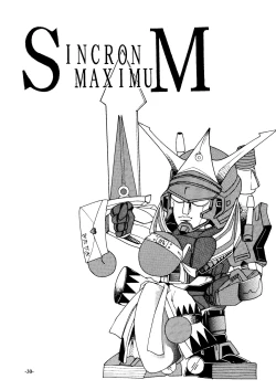 Page 29 of Sincron Maximum