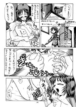 Page 33 of Sincron Maximum