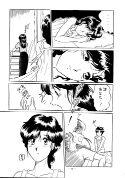 Page 17 of Kaizoku Ban Doujinshi Higai