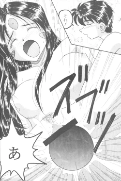 Page 29 of HOHETO 33