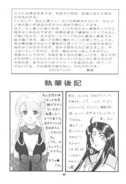 Page 44 of HOHETO 33