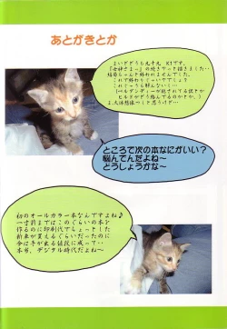 Page 31 of Tamashi no Yodomi