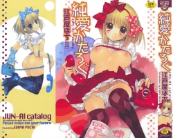 Page 3 of JUN-AI catalog
