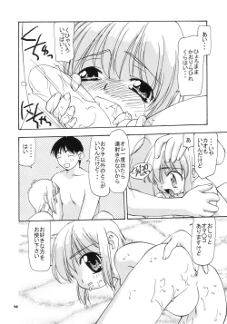 Page 13 of DLL Server 2003