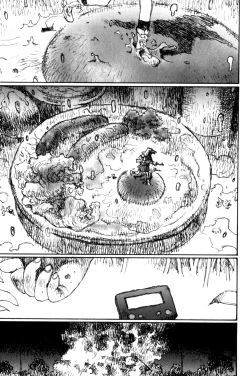 Page 244 of Becchin and Mandara